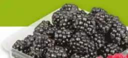 Metro RASPBERRIES offer