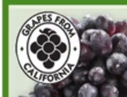 Metro JUMBO GREEN OR RED OR LARGE BLACK SEEDLESS GRAPES offer
