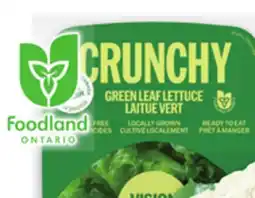 Metro LARGE CAULIFLOWER OR VISION GREENS LETTUCES offer
