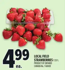 Metro LOCAL FIELD STRAWBERRIES offer
