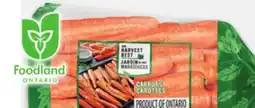 Metro CARROTS OR YELLOW ONIONS offer