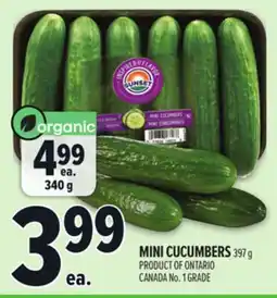 Metro MINI CUCUMBERS offer