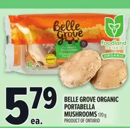 Metro BELLE GROVE ORGANIC PORTABELLA MUSHROOMS offer