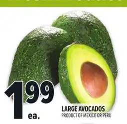 Metro LARGE AVOCADOS offer