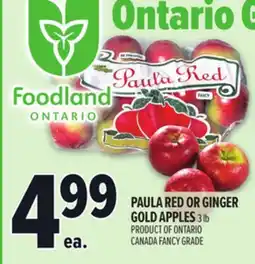 Metro PAULA RED OR GINGER GOLD APPLES offer