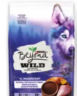 Metro PURINA BEYOND DRY DOG FOOD offer