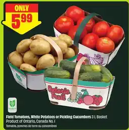 FreshCo Field Tomatoes, White Potatoes or Pickling Cucumbers 3 L Basket Product of Ontario, Canada No. 1 offer