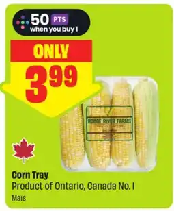 FreshCo Corn Tray Product of Ontario, Canada No. 1 offer
