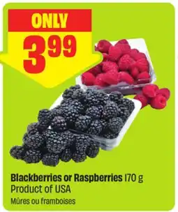 FreshCo Blackberries or Raspberries 170 g Product of USA offer