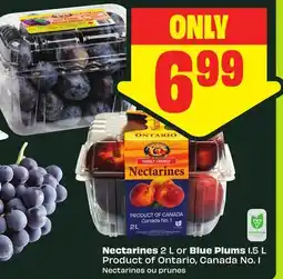 FreshCo Nectarines 2 L or Blue Plums 1.5 L Product of Ontario, Canada No. 1 offer