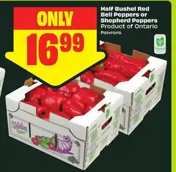 FreshCo Half Bushel Red Bell Peppers or Shepherd Peppers Product of Ontario offer