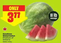 FreshCo Seedless Watermelon Product of Ontario 11 lb average offer