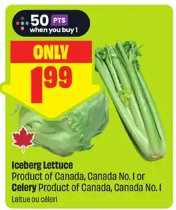 FreshCo Iceberg Lettuce Product of Canada, Canada No. 1 or Celery Product of Canada, Canada No. 1 offer