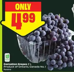 FreshCo Coronation Grapes 2 L Product of Ontario, Canada No. 1 offer
