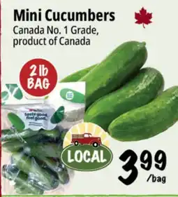 Farm Boy Mini Cucumbers offer