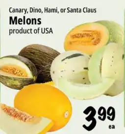 Farm Boy Canary, Dino, Hami, or Santa Claus Melons offer