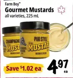 Farm Boy Farm Boy Gourmet Mustards offer