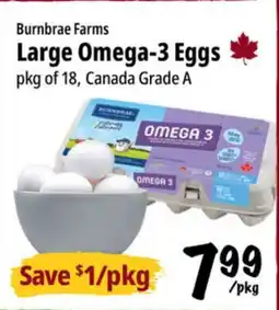Farm Boy Burnbrae Farms Large Omega-3 Eggs offer