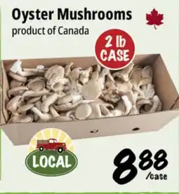 Farm Boy Oyster Mushrooms offer