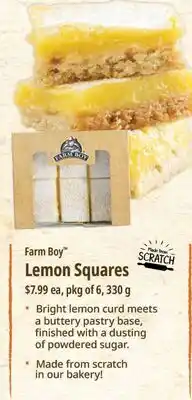 Farm Boy Farm Boy Lemon Squares offer