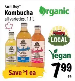 Farm Boy Farm Boy Kombucha offer