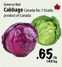 Farm Boy Green or Red Cabbage offer