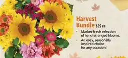 Farm Boy Harvest Bundle offer