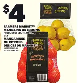 Independent Grocer FARMERS MARKET MANDARIN OR LEMONS, 2 LB offer