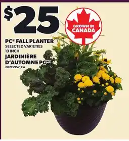 Independent Grocer PC FALL PLANTER, 13 INCH offer