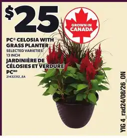 Independent Grocer PC CELOSIA WITH GRASS PLANTER, 13 INCH offer