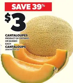 Independent Grocer CANTALOUPES offer