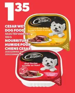 Independent Grocer CESAR WET DOG FOOD offer