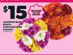 Independent Grocer ASSORTED MUM BUNCH CHRYSANTHEME ASSORTI offer