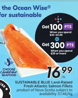 Sobeys Land-Raised Fresh Atlantic Salmon Fillets offer