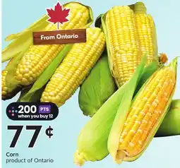 Sobeys Corn offer