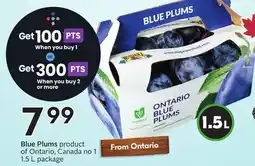 Sobeys Blue Plums offer