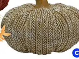 RONA 5 pumpkin offer
