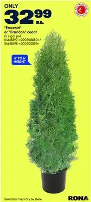 RONA Emerald or Brandon cedar offer