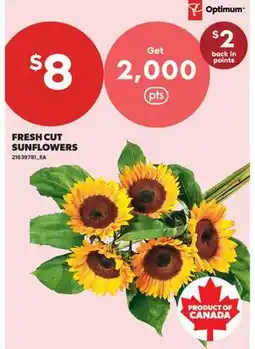 Real Canadian Superstore FRESH CUT SUNFLOWERS offer