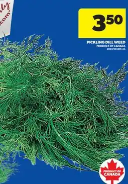 Real Canadian Superstore PICKLING DILL WEED offer