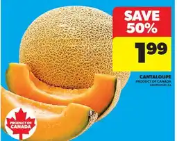 Real Canadian Superstore CANTALOUPE offer