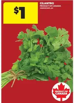 Real Canadian Superstore CILANTRO offer