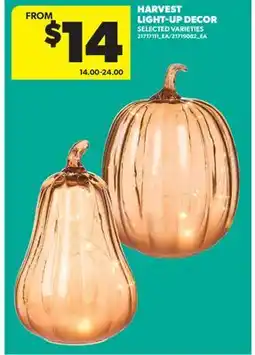 Real Canadian Superstore HARVEST LIGHT-UP DECOR offer