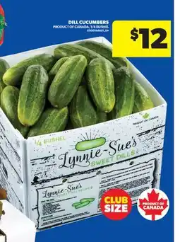 Real Canadian Superstore DILL CUCUMBERS, 1/4 BUSHEL offer