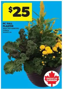 Real Canadian Superstore PC FALL BOUQUET, 13 INCH offer