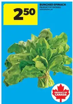Real Canadian Superstore BUNCHED SPINACH offer