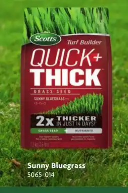 Home Hardware Quick + Thick Grass Seed Sunny Bluegrass offer