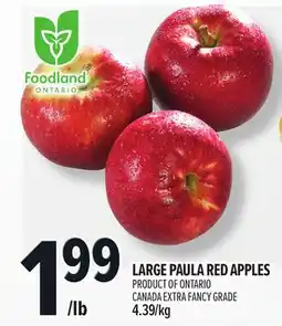 Metro LARGE PAULA RED APPLES offer