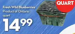Longo's Fresh Wild Blueberries offer