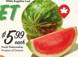 Longo's Fresh Watermelon offer